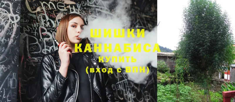 где найти   Нефтегорск  Канабис White Widow 